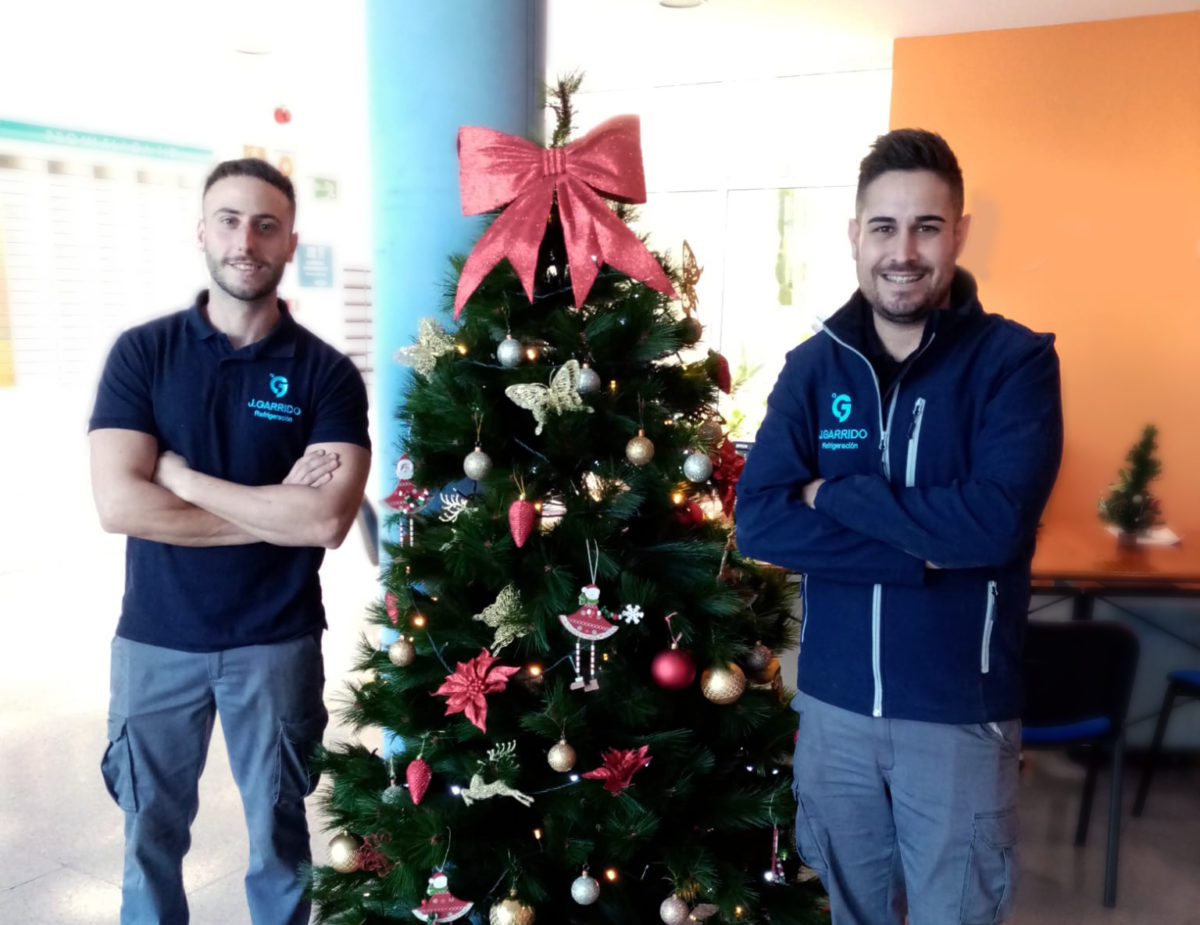 Nuestros compañeros de navidad