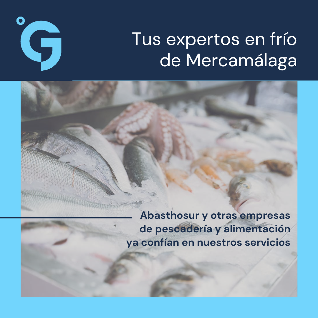 Pescadería que confía en los servicios de refrigeración de J Garrido en Mercamálaga